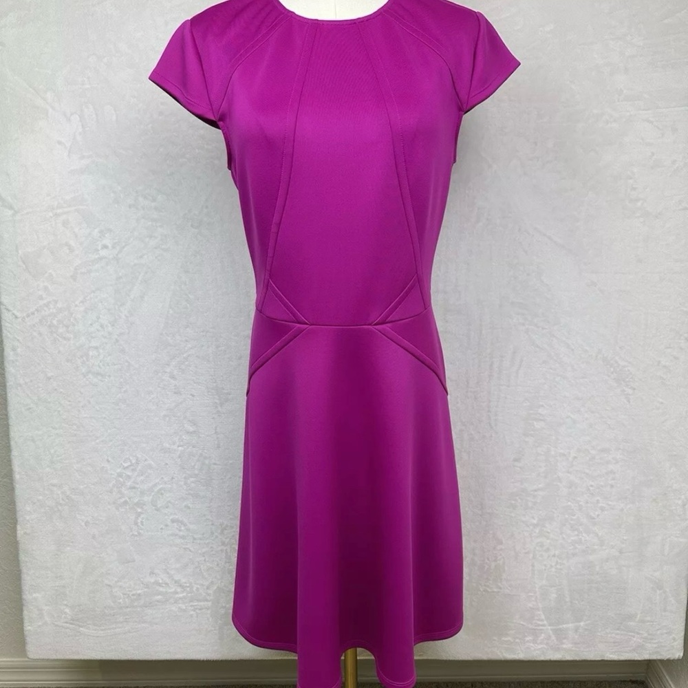 Ted Baker London Sew in Love Scuba Pink Zip Back Flare Dress Size 2 (US 6) EUC!